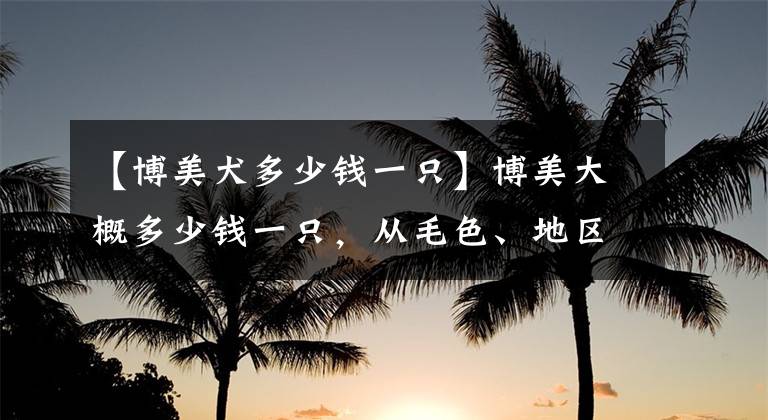 【博美犬多少钱一只】博美大概多少钱一只，从毛色、地区分辨