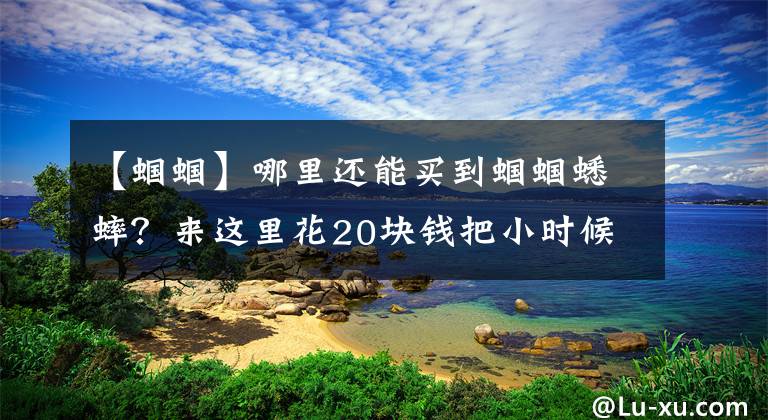 【蝈蝈】哪里还能买到蝈蝈蟋蟀？来这里花20块钱把小时候的夏天记忆带回家