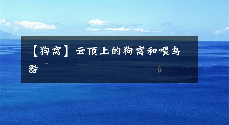 【狗窝】云顶上的狗窝和喂鸟器