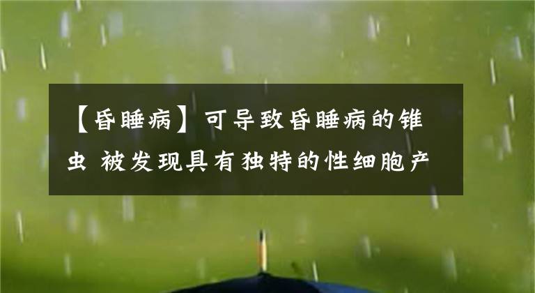 【昏睡病】可导致昏睡病的锥虫 被发现具有独特的性细胞产生过程