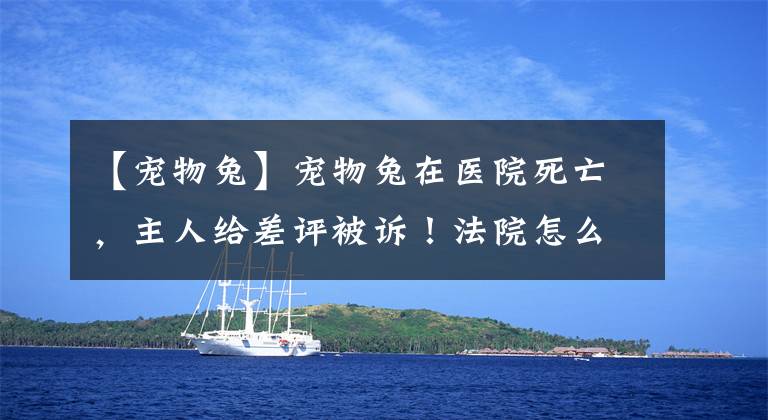 【宠物兔】宠物兔在医院死亡，主人给差评被诉！法院怎么判？