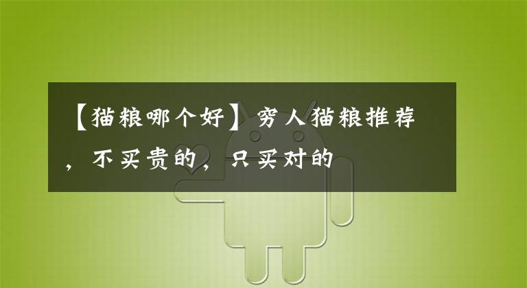 【猫粮哪个好】穷人猫粮推荐，不买贵的，只买对的