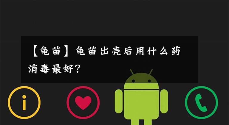 【龟苗】龟苗出壳后用什么药消毒最好？