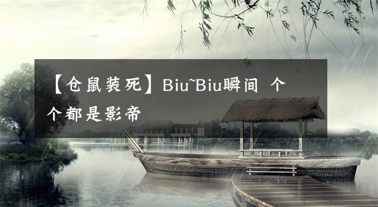 【仓鼠装死】Biu~Biu瞬间 个个都是影帝