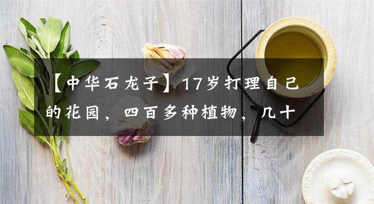 【中华石龙子】17岁打理自己的花园，四百多种植物，几十种动物。。 | 神奇美少年