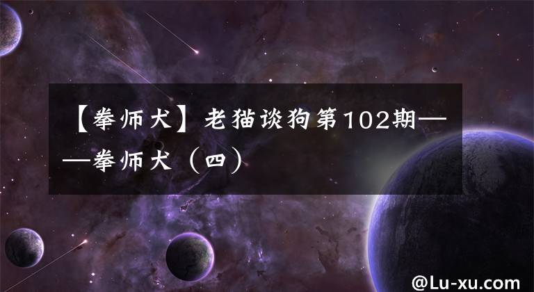 【拳师犬】老猫谈狗第102期——拳师犬（四）