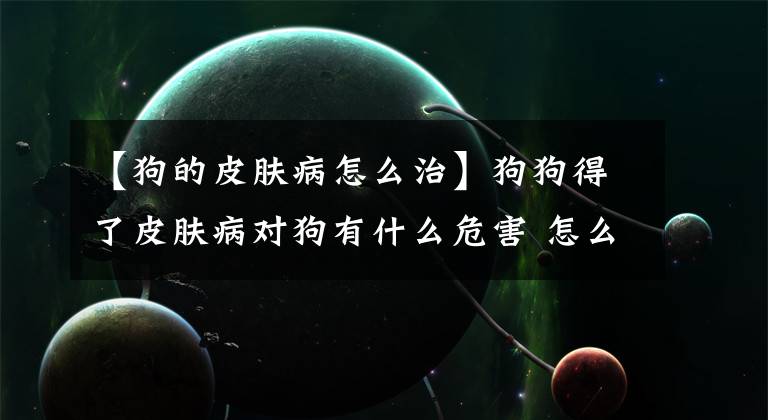 【狗的皮肤病怎么治】狗狗得了皮肤病对狗有什么危害 怎么形成的？怎么治疗？