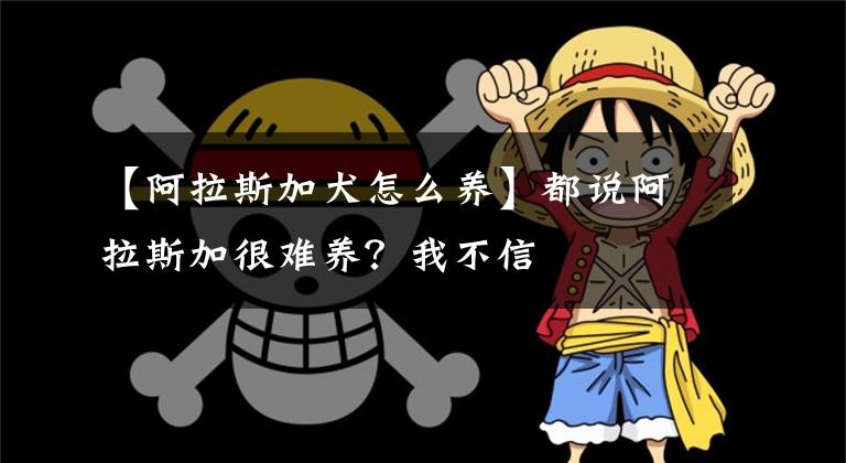 【阿拉斯加犬怎么养】都说阿拉斯加很难养？我不信