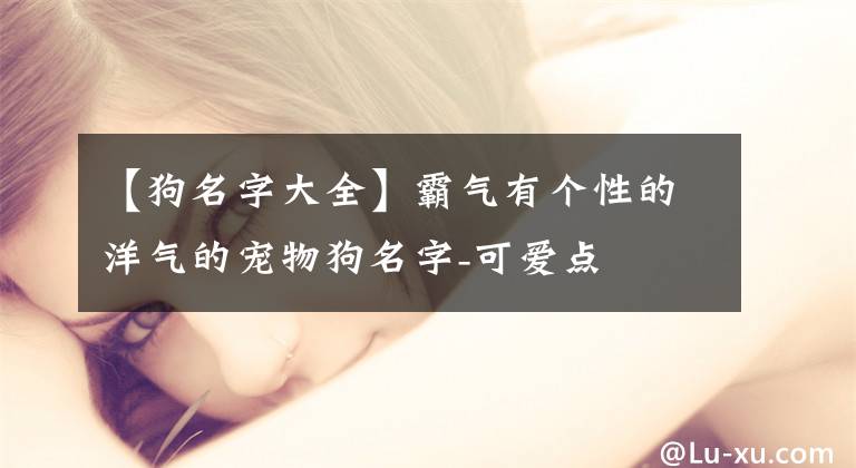 【狗名字大全】霸气有个性的洋气的宠物狗名字-可爱点