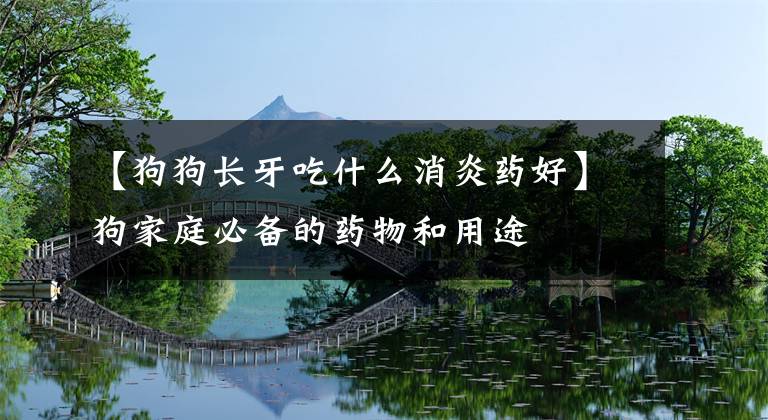 【狗狗长牙吃什么消炎药好】狗家庭必备的药物和用途