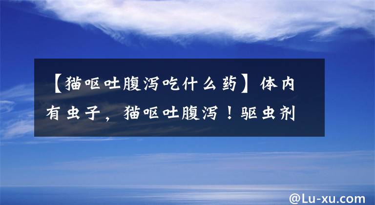 【猫呕吐腹泻吃什么药】体内有虫子，猫呕吐腹泻！驱虫剂要知道用什么。
