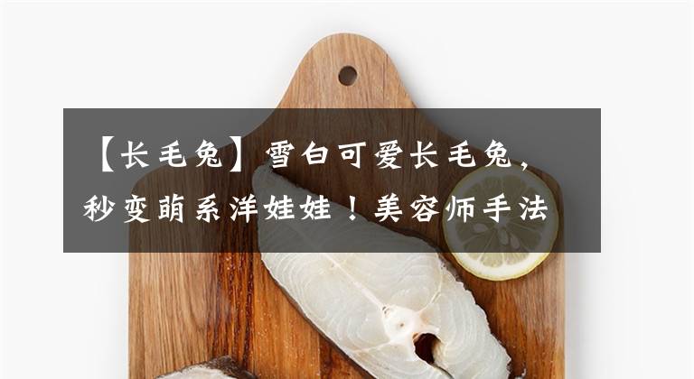 【长毛兔】雪白可爱长毛兔，秒变萌系洋娃娃！美容师手法帅炸天