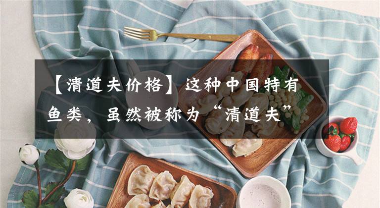 【清道夫价格】这种中国特有鱼类，虽然被称为“清道夫”，却是我国四大家鱼之一
