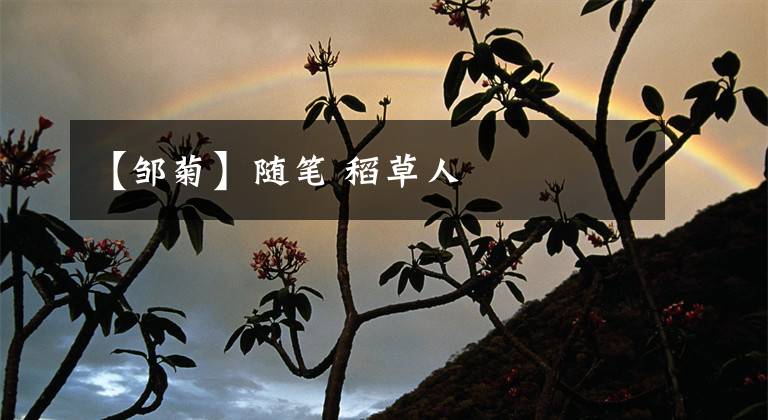 【邹菊】随笔 稻草人
