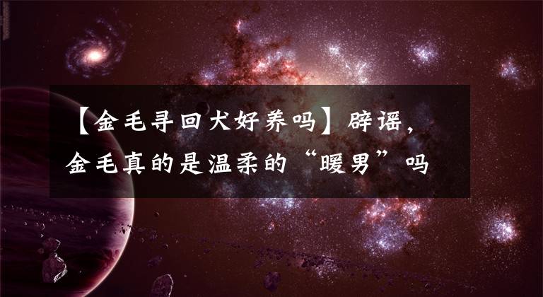 【金毛寻回犬好养吗】辟谣，金毛真的是温柔的“暖男”吗？不，它只是对人类友好
