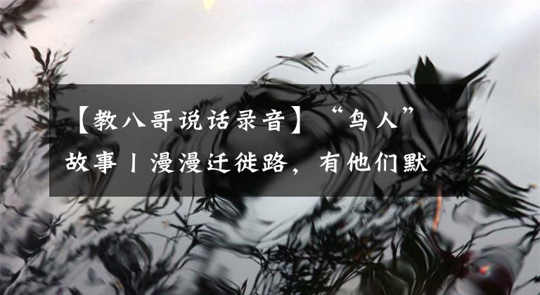 【教八哥说话录音】“鸟人”故事丨漫漫迁徙路，有他们默默守护