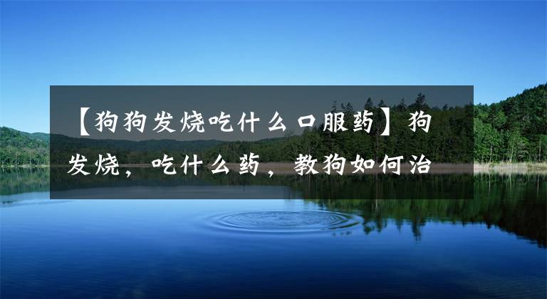 【狗狗发烧吃什么口服药】狗发烧，吃什么药，教狗如何治疗发烧。