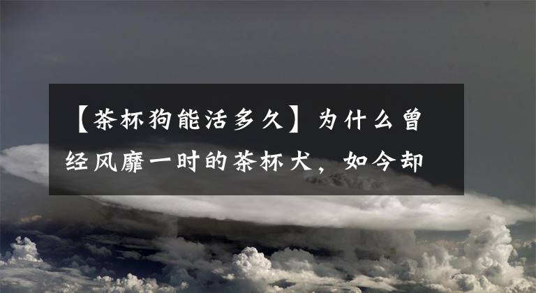 【茶杯狗能活多久】为什么曾经风靡一时的茶杯犬，如今却很少人养呢？6点原因告诉你