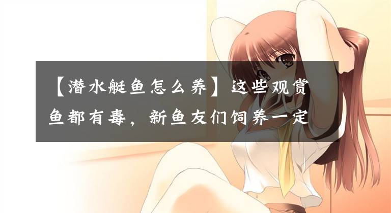 【潜水艇鱼怎么养】这些观赏鱼都有毒，新鱼友们饲养一定要注意！
