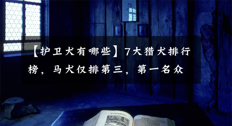 【护卫犬有哪些】7大猎犬排行榜，马犬仅排第三，第一名众望所归