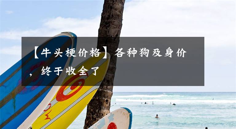 【牛头梗价格】各种狗及身价，终于收全了
