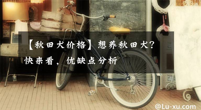 【秋田犬价格】想养秋田犬？快来看，优缺点分析