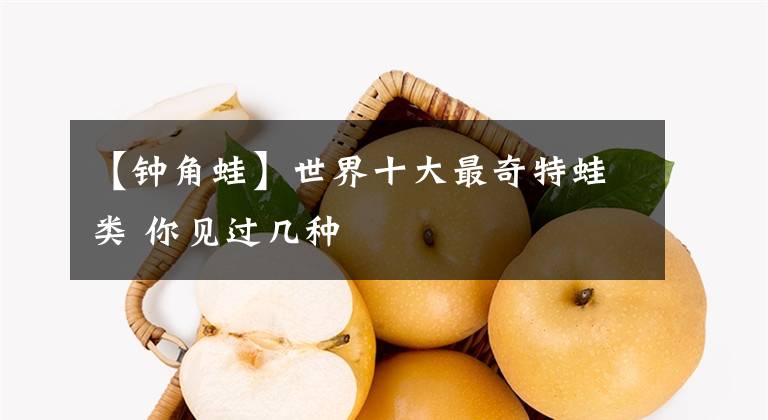 【钟角蛙】世界十大最奇特蛙类 你见过几种