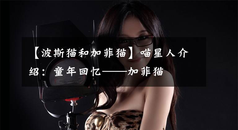 【波斯猫和加菲猫】喵星人介绍：童年回忆——加菲猫