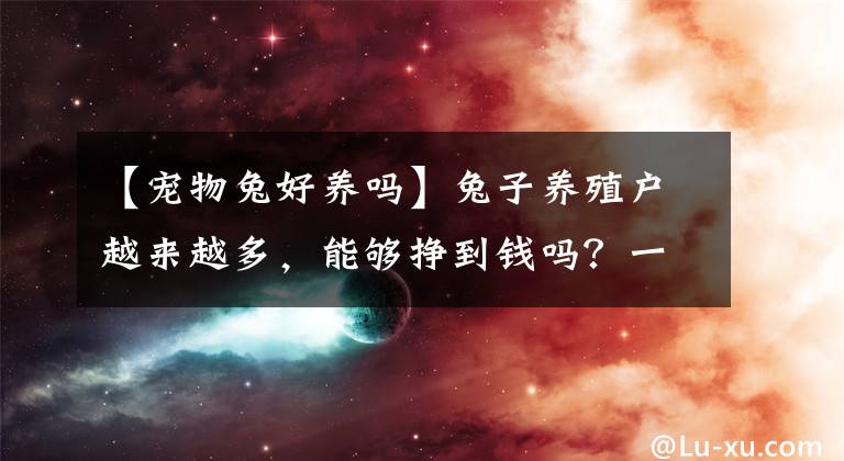 【宠物兔好养吗】兔子养殖户越来越多，能够挣到钱吗？一起来看看兔子养殖前景