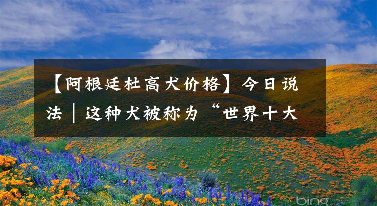 【阿根廷杜高犬价格】今日说法｜这种犬被称为“世界十大最凶悍猛犬”之一！小区保安被咬伤索赔15万