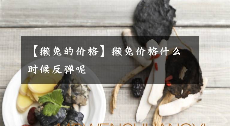 【獭兔的价格】獭兔价格什么时候反弹呢