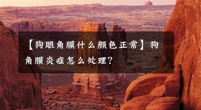 【狗眼角膜什么颜色正常】狗角膜炎症怎么处理？