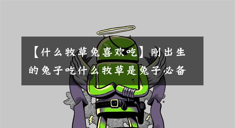【什么牧草兔喜欢吃】刚出生的兔子吃什么牧草是兔子必备的食物