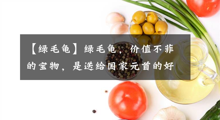 【绿毛龟】绿毛龟，价值不菲的宝物，是送给国家元首的好礼物！