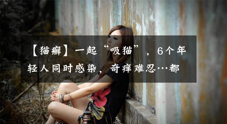 【猫癣】一起“吸猫”，6个年轻人同时感染，奇痒难忍…都得了这种病
