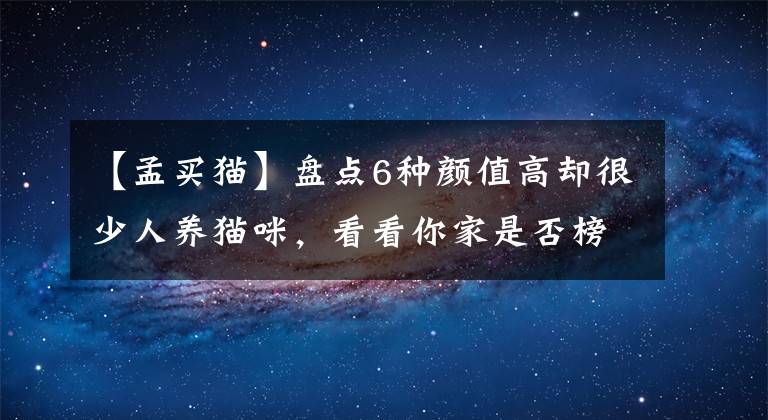 【孟买猫】盘点6种颜值高却很少人养猫咪，看看你家是否榜上有名