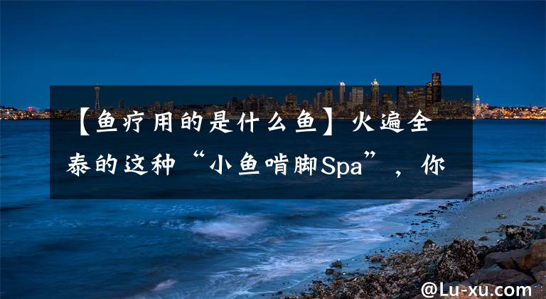 【鱼疗用的是什么鱼】火遍全泰的这种“小鱼啃脚Spa”，你可知有多大健康风险？