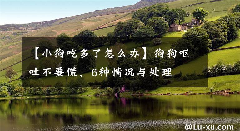 【小狗吃多了怎么办】狗狗呕吐不要慌，6种情况与处理
