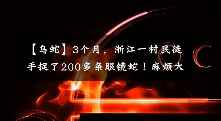 【乌蛇】3个月，浙江一村民徒手捉了200多条眼镜蛇！麻烦大了……