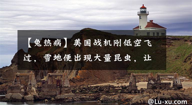 【兔热病】美国战机刚低空飞过，雪地便出现大量昆虫，让志愿军军医十分警惕