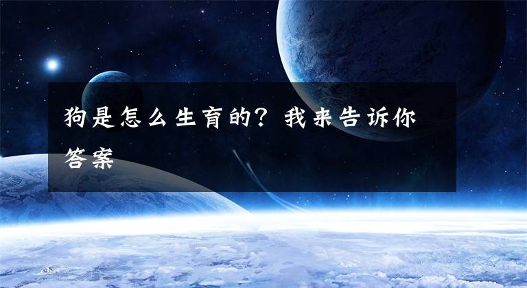狗是怎么生育的？我来告诉你答案