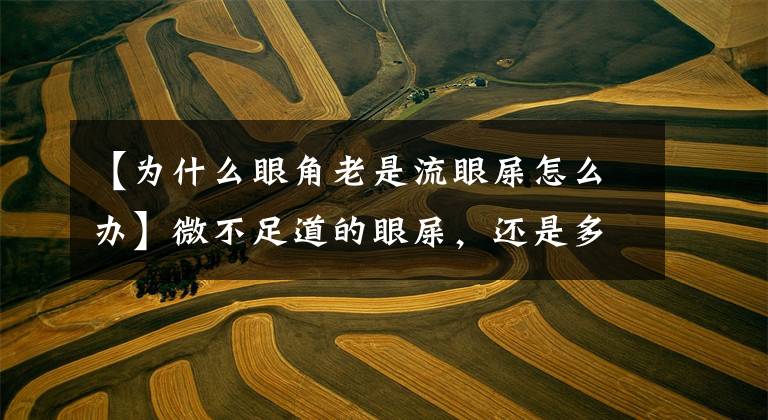 【为什么眼角老是流眼屎怎么办】微不足道的眼屎，还是多看几眼吧