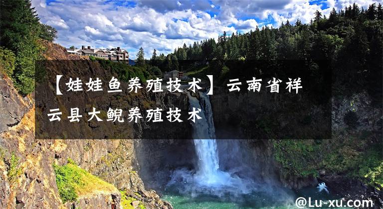 【娃娃鱼养殖技术】云南省祥云县大鲵养殖技术