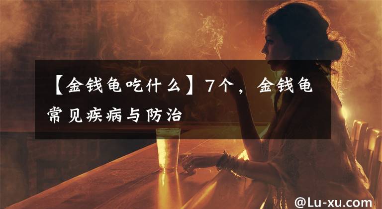 【金钱龟吃什么】7个，金钱龟常见疾病与防治