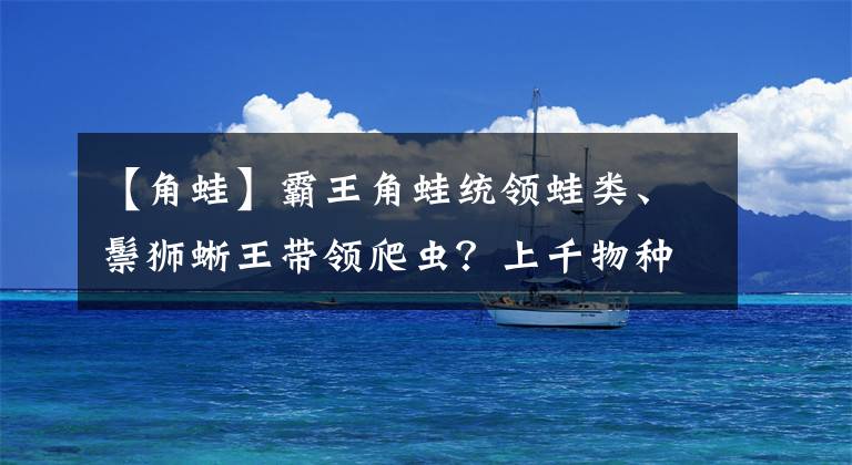 【角蛙】霸王角蛙统领蛙类、鬃狮蜥王带领爬虫？上千物种昆虫大战广州上演