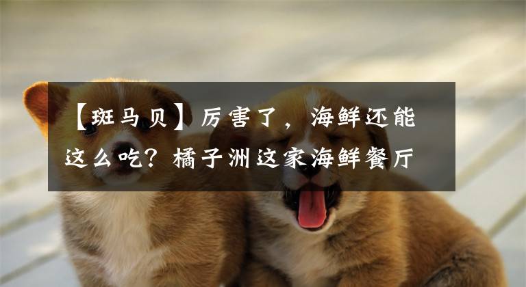 【斑马贝】厉害了，海鲜还能这么吃？橘子洲这家海鲜餐厅教你花式吃海鲜！