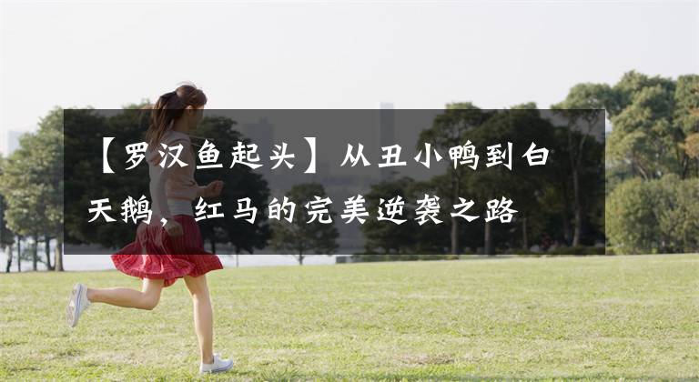【罗汉鱼起头】从丑小鸭到白天鹅，红马的完美逆袭之路