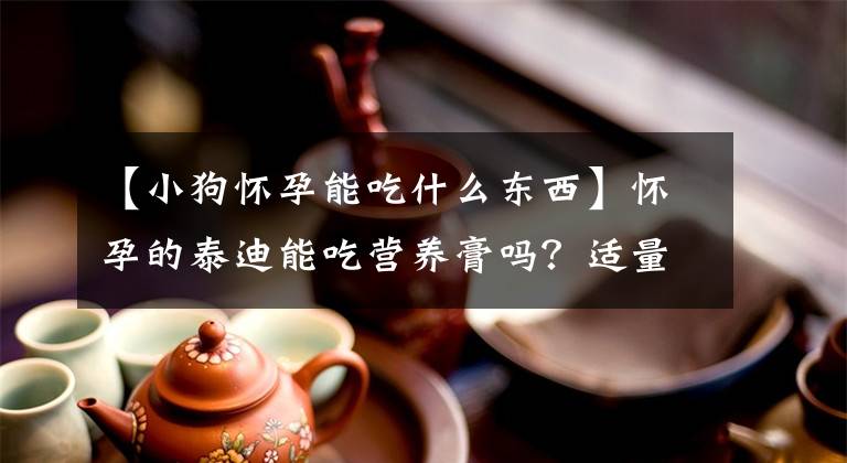 【小狗怀孕能吃什么东西】怀孕的泰迪能吃营养膏吗？适量的补充肯定有助于孕期营养