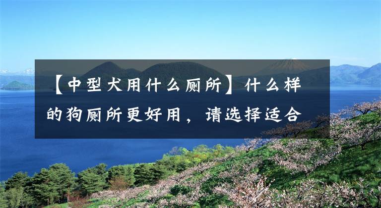 【中型犬用什么厕所】什么样的狗厕所更好用，请选择适合自己狗的厕所。