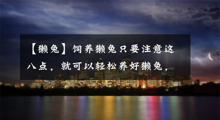 【獭兔】饲养獭兔只要注意这八点，就可以轻松养好獭兔，增加经济效益